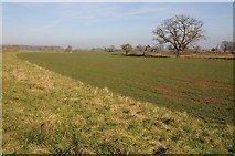SO8345 : Riverside arable field by Philip Halling