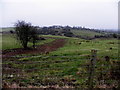 Cranlome Townland