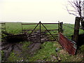 Rusty gate, Aghnagar