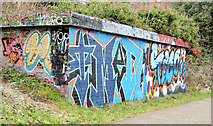 J3470 : Graffiti,  Lagan towpath, Stranmillis, Belfast (February 2015) by Albert Bridge