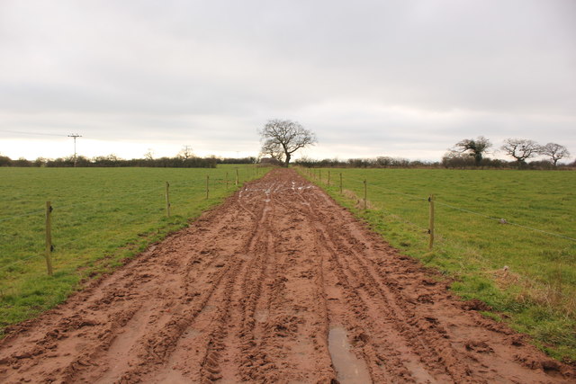 Muddy farm track near Grafton Hall