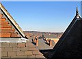 A view from the roof of Forest Fields Primary School