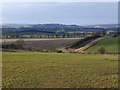 NU2213 : Looking across the fields towards Alnwick by Russel Wills