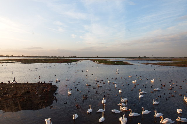 Welney Wetlands © Matthew Chadwick :: Geograph Britain And Ireland