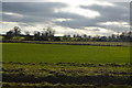 Countryside near Mattishall