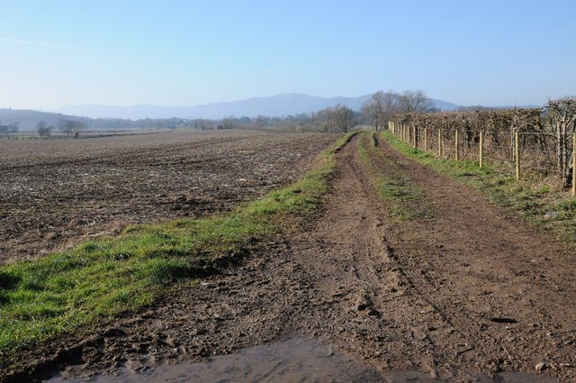 Farmland track near Baynhall