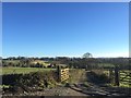 Rural scene at Ballinaskeagh