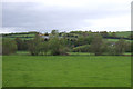 Grazing near the River Culm