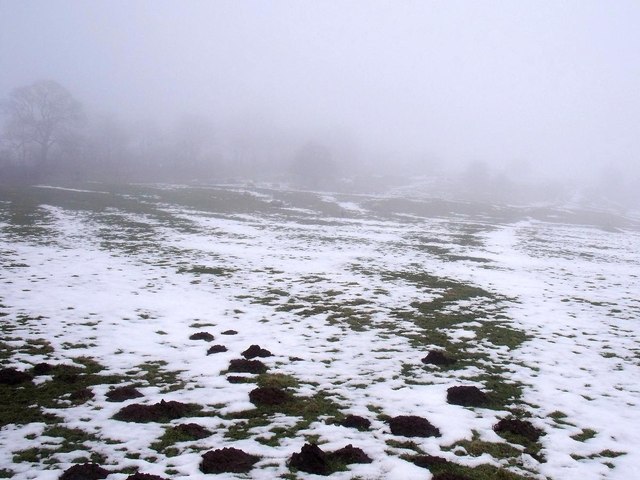 The original 1778 Caldon Low Tramroad