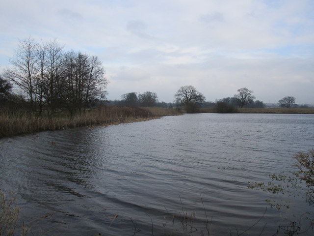 Pond By Houghton Lane © Jonathan Thacker Cc-by-sa 2.0 :: Geograph 