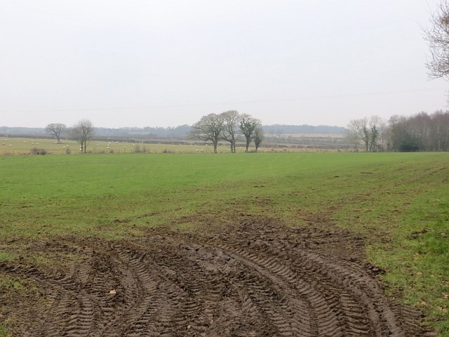 Field near Flat