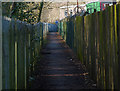 Footpath next to the railway line