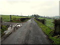 A muddy road, Mullaghbane