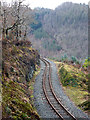 SN7377 : The Vale of Rheidol Railway running through Coed Rheidol by John Lucas