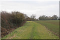 Arable field boundary, Mowden