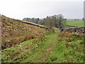 NY7062 : Track east of Broomhouse by Andrew Curtis