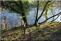 NX0982 : River Walk to Ballantrae by Billy McCrorie