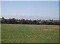 Trees and farm buildings