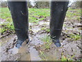 Thank God for Wellies