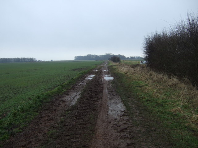 A muddy bridleway
