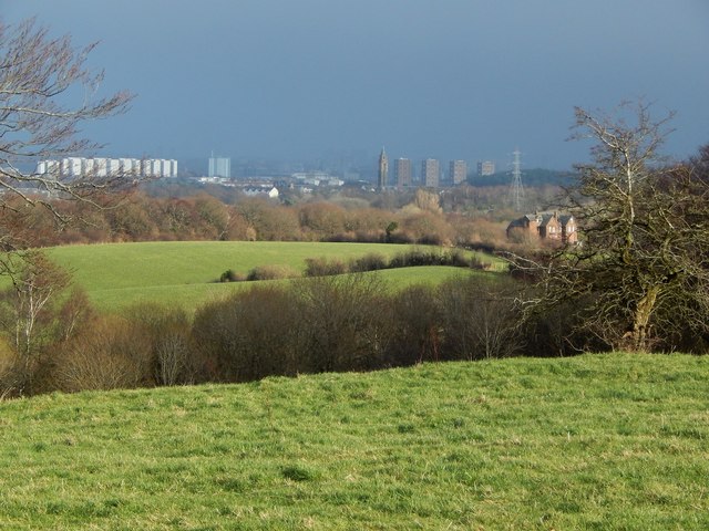 Field at Stoney Brae