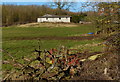 Field on the edge of Thornton