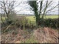 Stile near Bagginswood