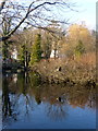 Stonebridge Pond, Faversham