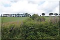 SX4985 : Farmland north of Lydford Forest by Mr Ignavy
