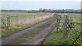 Farm track and a flock of sheep