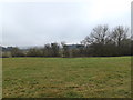 Farmland at Norton Heath Equestrian Centre