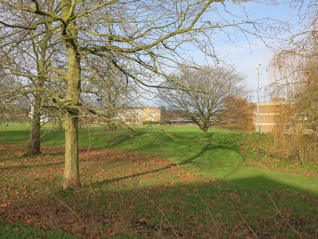 Churchill College grounds