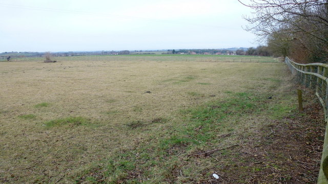 Pastures on the Avon floodplain