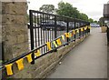 Yellow jerseys, Waitrose, Harrogate