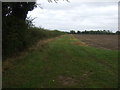 Farm track and hedgerow, Heckington