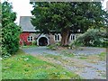 Old Church and A Yew