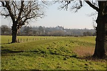 SO8444 : View to Severn Stoke church by Philip Halling