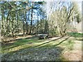 Hurn Forest, picnic site