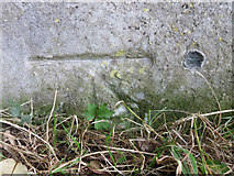 TQ1873 : Bench mark and bolt near Pembroke Lodge by John S Turner