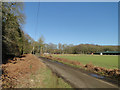 Poultry houses at Brick Kiln Farm