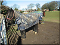 Chequered rugs