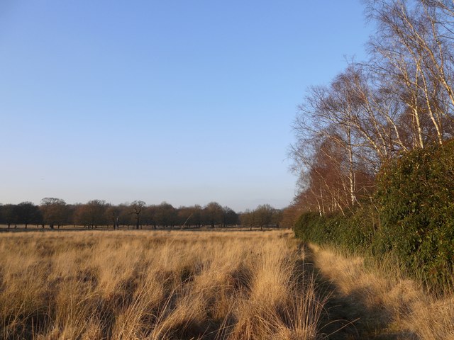 Path alongside Pen Pond Plantation