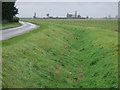 Dry drain beside Littleworth Drove