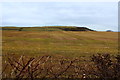 Farmland near the Heads of Ayr