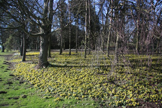 The gardens of Old Fordey House