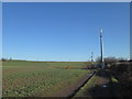 Mobile phone mast near New South Farm