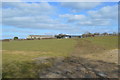 Farmland near Upton Riding Stables