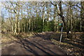 Footpath goes west from byway in Roundwood Copse