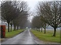 Tree-lined avenue to the Hydes