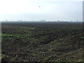 Farmland off Arnold Lane West